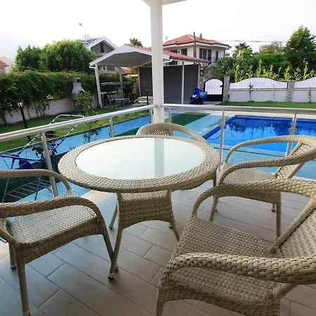 Moonlight فيلة داليان