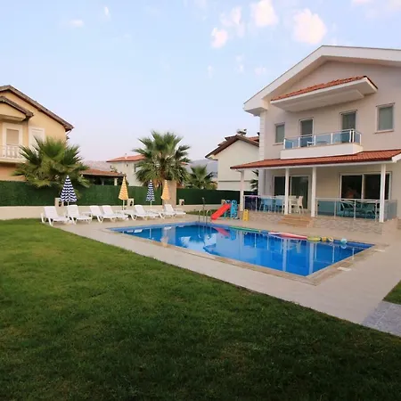 Moonlight * داليان