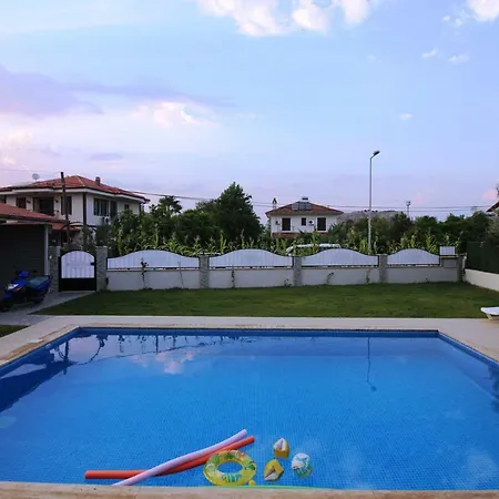 فيلة Moonlight داليان