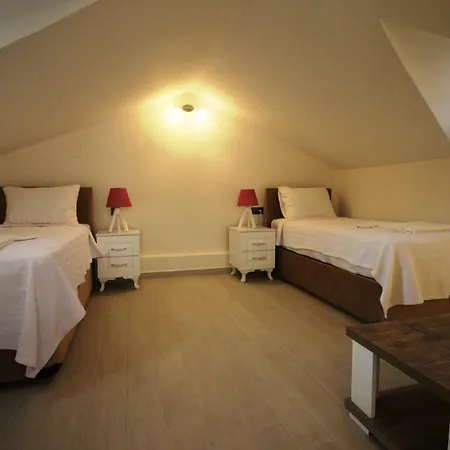 فيلة Moonlight داليان