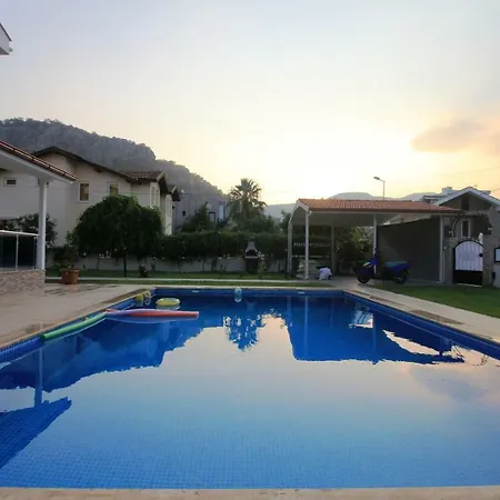 Moonlight داليان