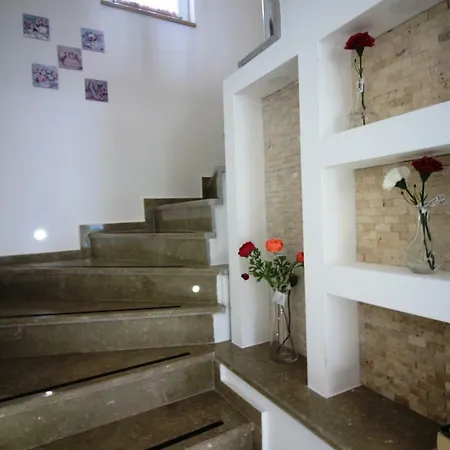 Moonlight داليان